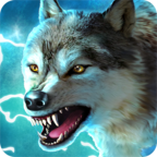 The Wolf(Free Shopping)