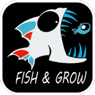 Feed and Grow Fish(Unlimited Money)